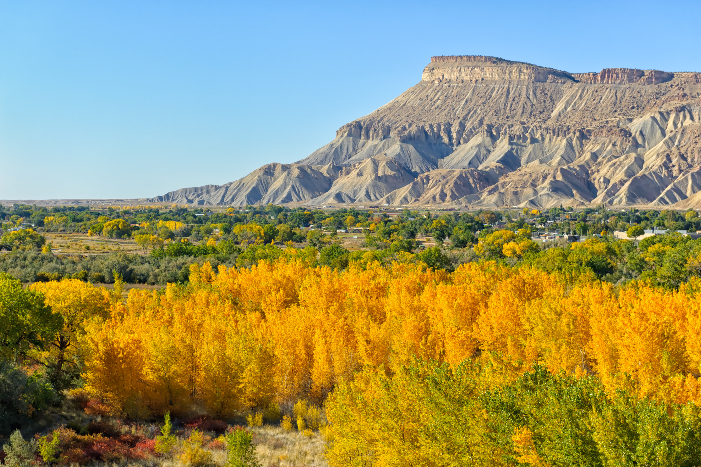 grand junction, colorado (3).webp